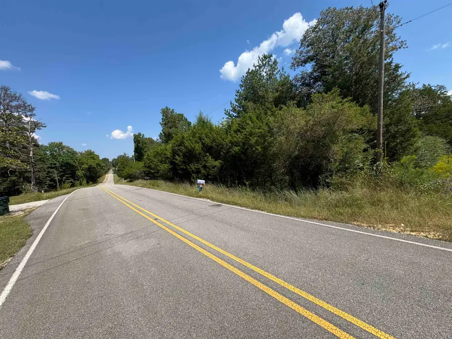 000 S Mt Hester Rd, Cherokee, AL 35616 - Image #3
