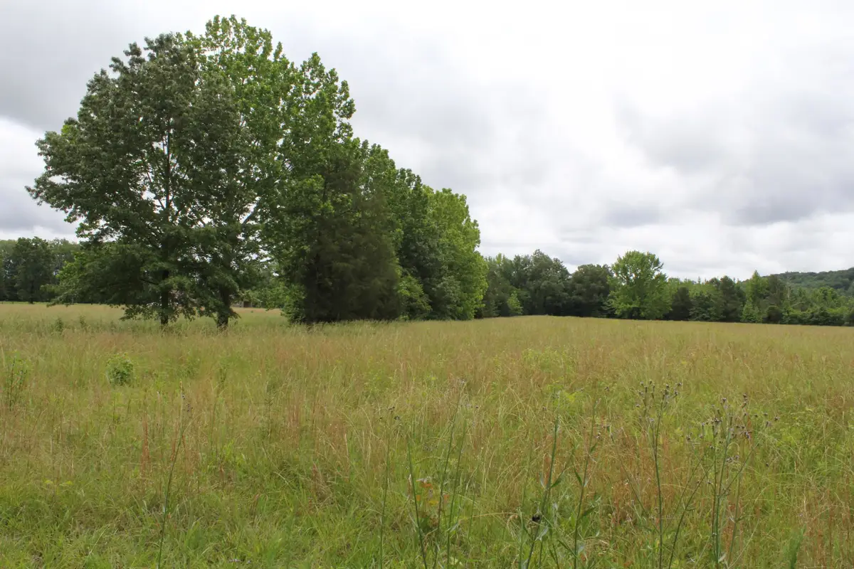 26461 Alabama Hwy 33, Courtland, AL 35618 - Image #1