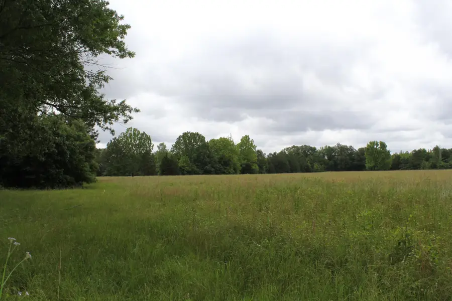 26461 Alabama Hwy 33, Courtland, AL 35618 - Image #2