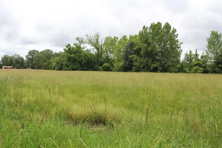 26461 Alabama Hwy 33, Courtland, AL 35618 - Image #3