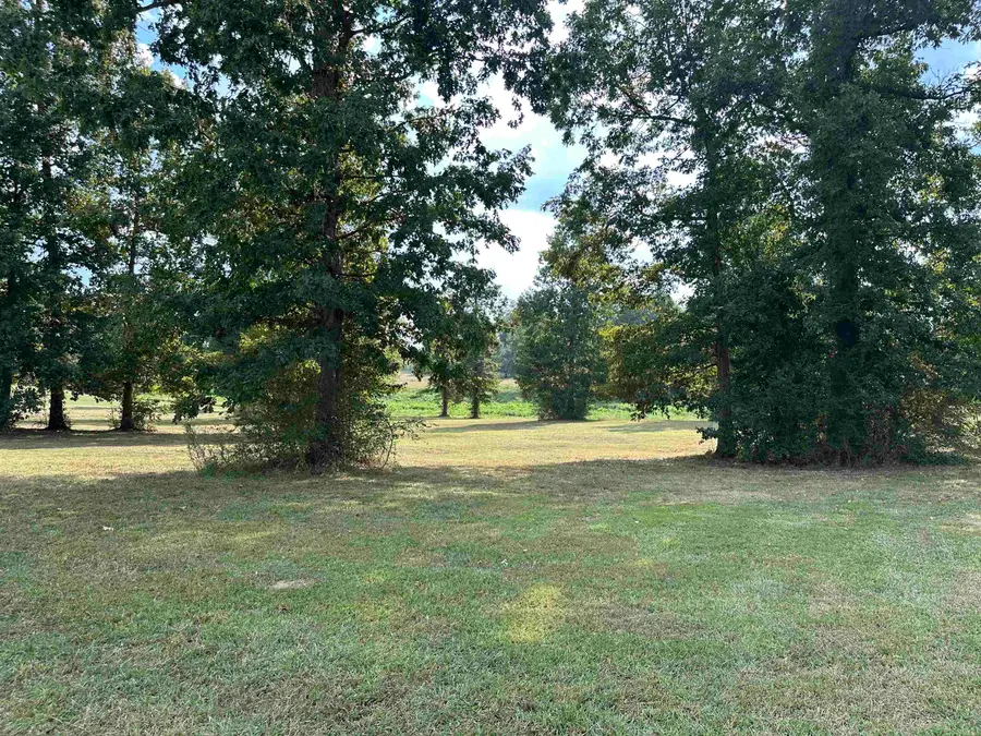 Tract #3 Co Rd 783, Cullman, AL 35055 - Image #3