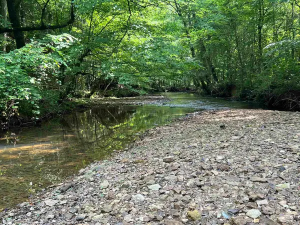 00 Co Rd 76, Rogersville, AL 35652