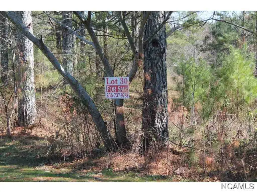 LOT 71 S Montcrest, Cullman, AL 35057 - Image #2