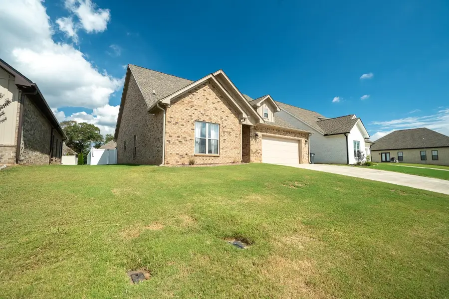 427 Zoey Grace Dr, Rogersville, AL 35652 - Image #3