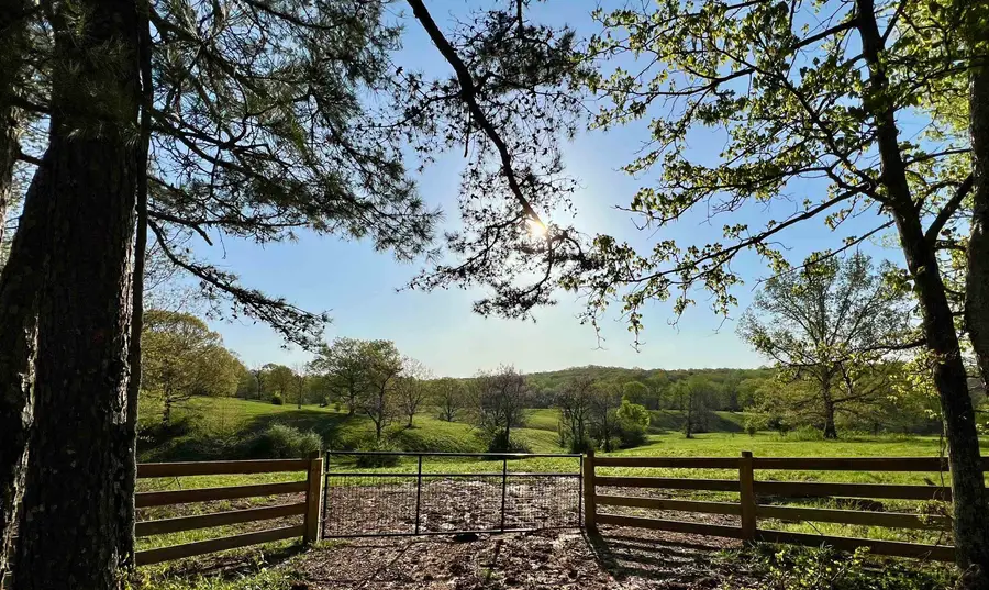 00 Co Rd 60, Florence, AL 35633 - Image #2