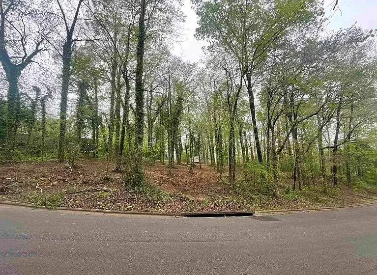 0 Scenic Dr, Cullman, AL 35055 - Image #1