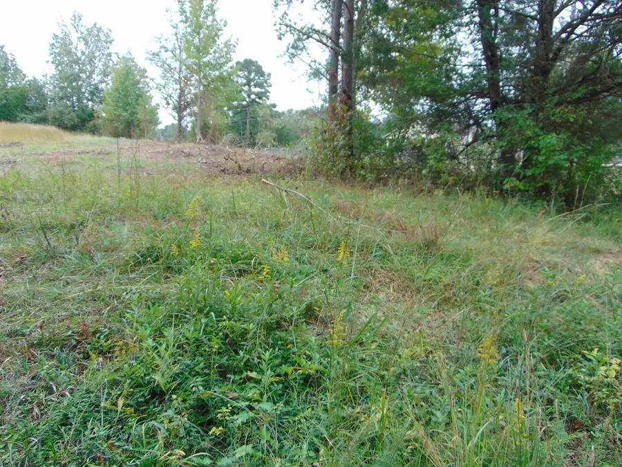 4000 Woodmont Dr, Tuscumbia, AL 35674 - Image #3