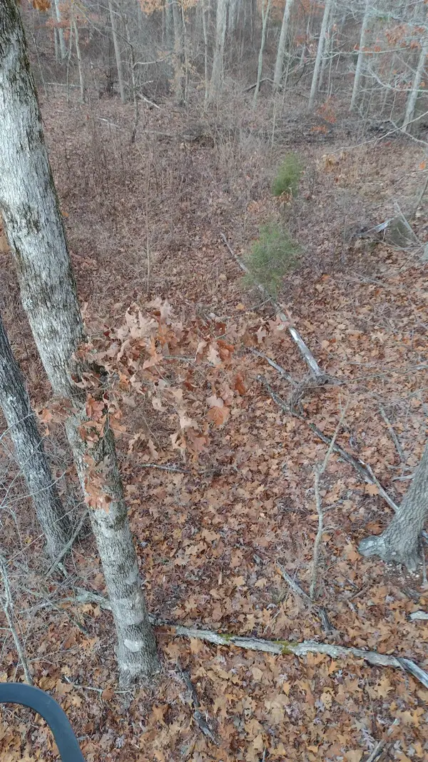 956 Co Rd 244, Russellville, AL 35654