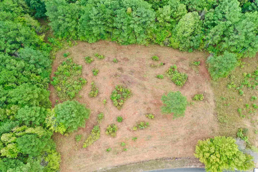 00 Co Rd 87, Waterloo, AL 35677 - Image #3