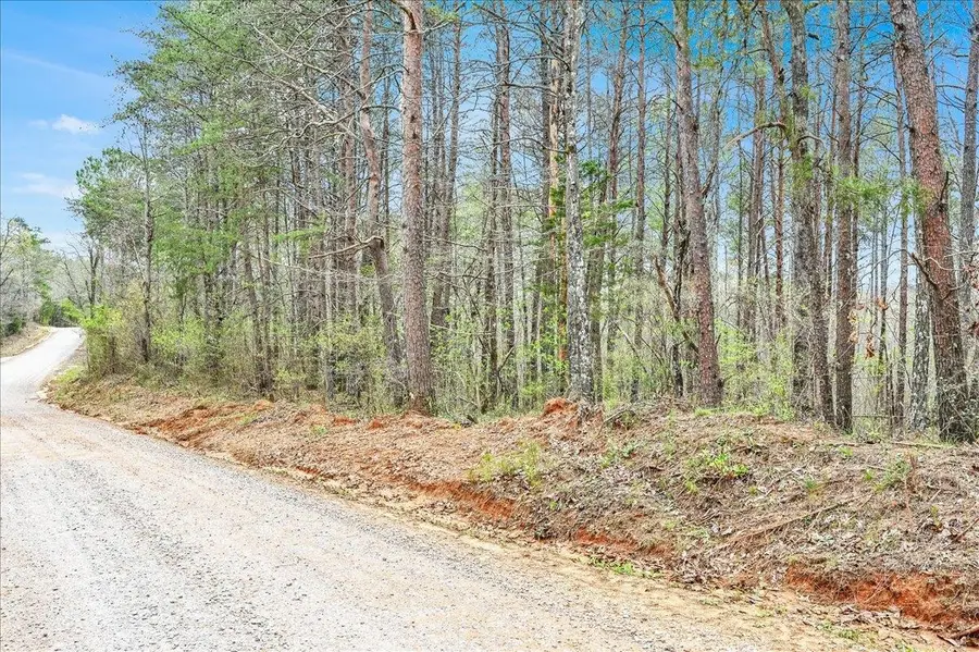 3166 Co Rd 113, Double Springs, AL 35553 - Image #2