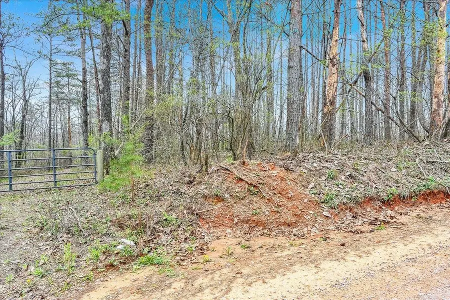 3166 Co Rd 113, Double Springs, AL 35553 - Image #3