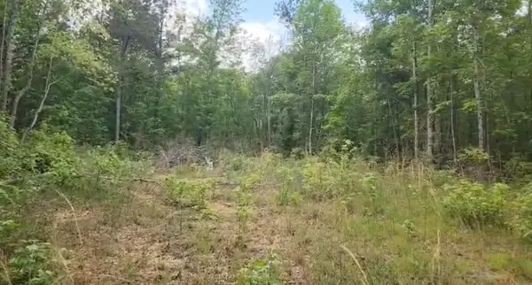 0 Fuller, Phil Campbell, AL 35581