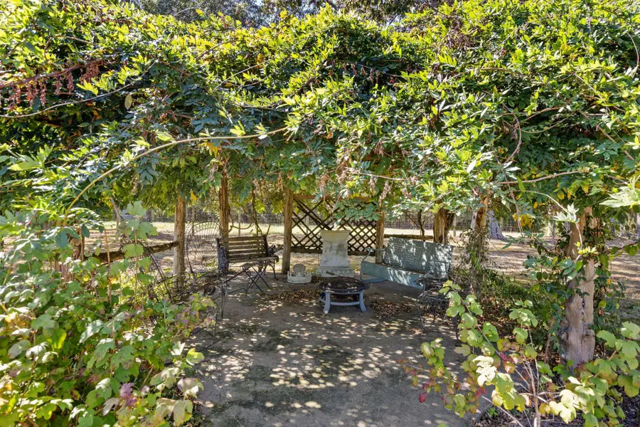 6590 Lagrange Rd, Leighton, AL 35646 - Image #3