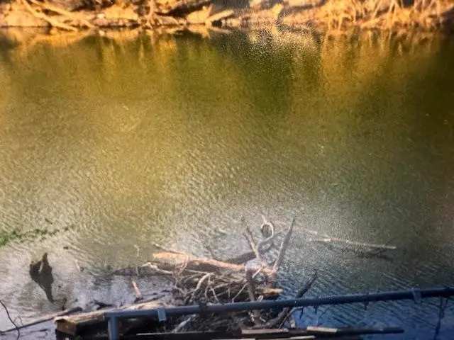 0000 Bream Blf, Athens, AL 35611 - Image #1