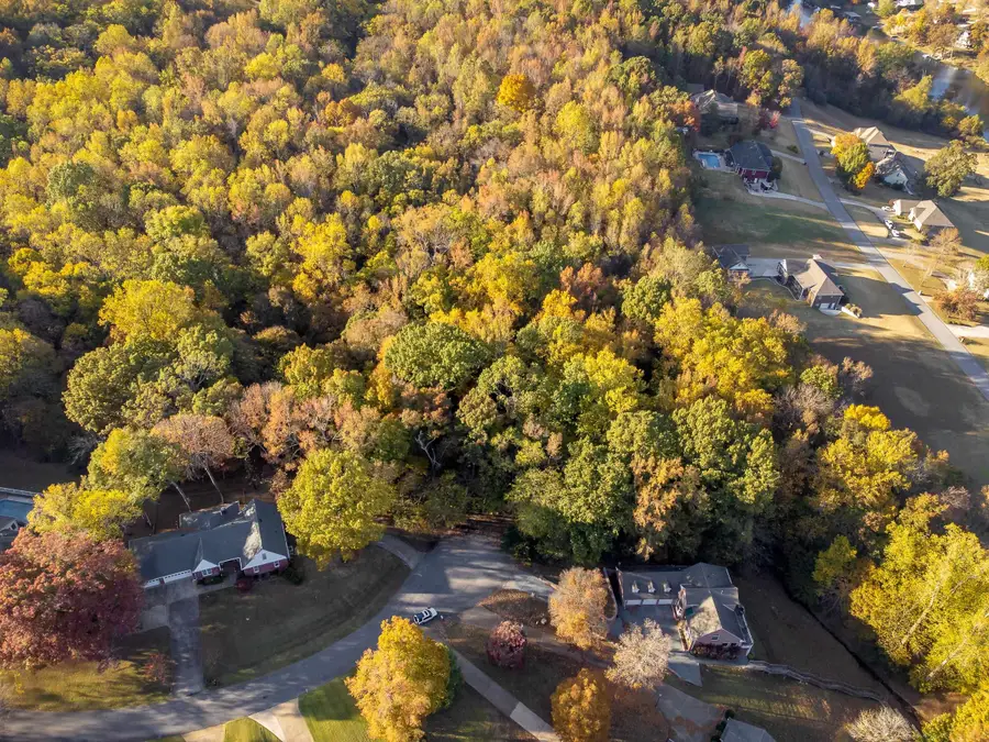 145 Harbor Close, Killen, AL 35645 - Image #2