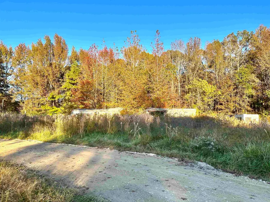 593 Co Rd 352, Trinity, AL 35673 - Image #3