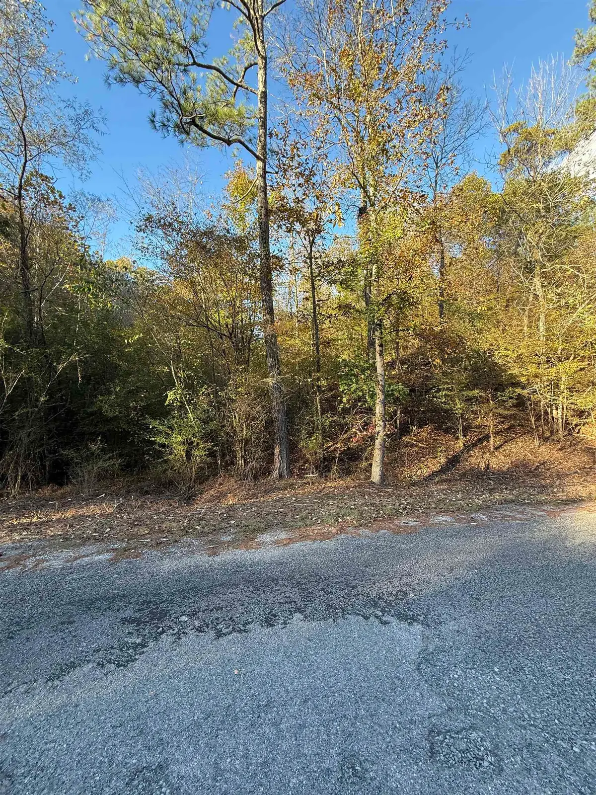 0 Co Rd 518, Hanceville, AL 35077 - Image #1