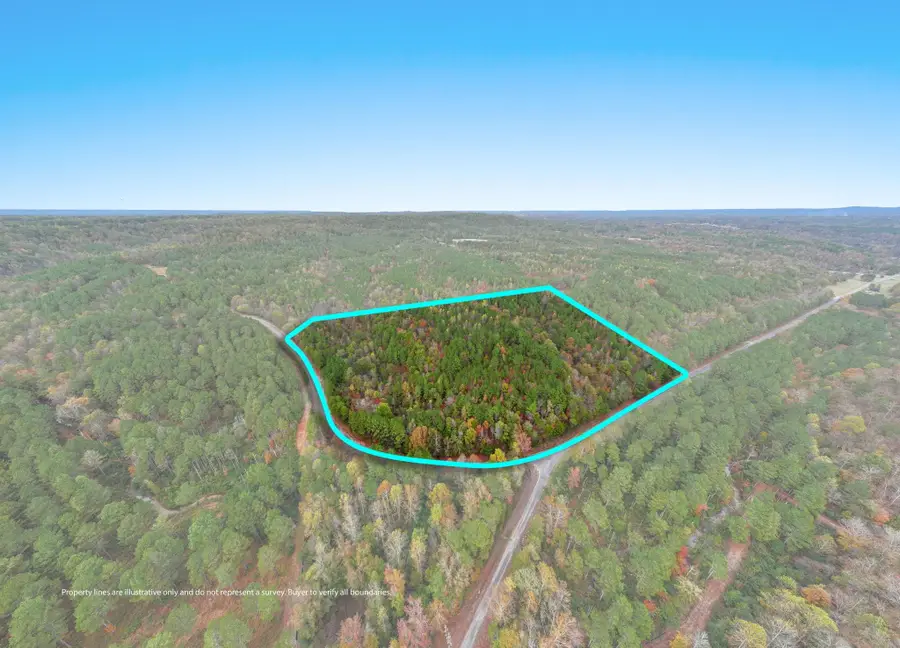 0 Co Rd 518, Hanceville, AL 35077 - Image #2