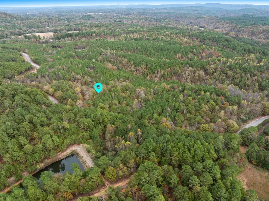 0 Co Rd 518, Hanceville, AL 35077 - Image #3
