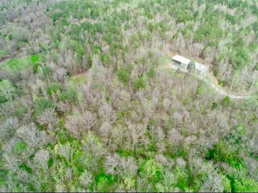 19789 Alabama Hwy 24, Russellville, AL 35653 - Image #2