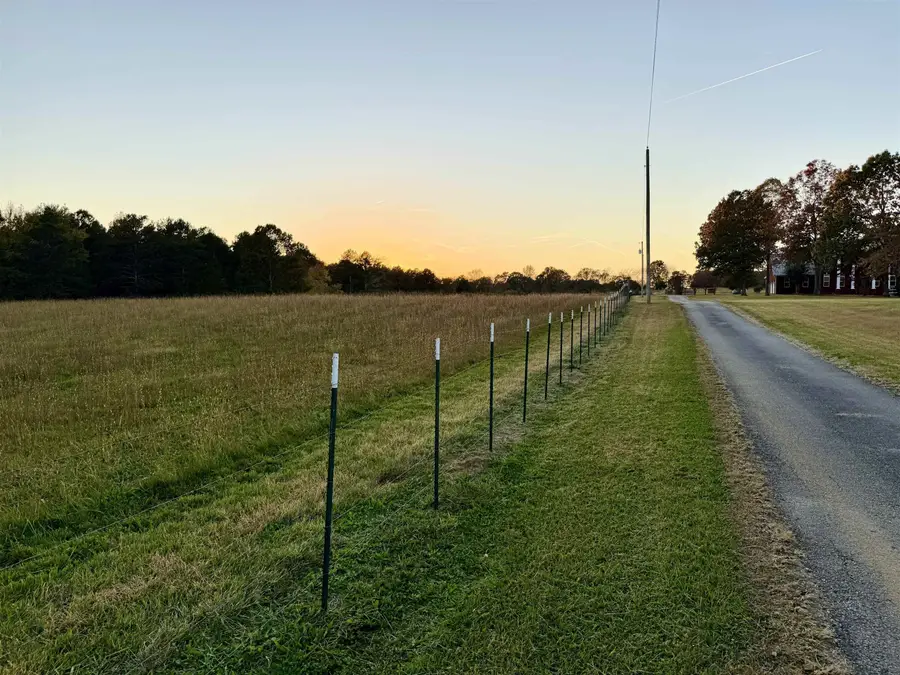 8141 Co Rd 8, Waterloo, AL 35677 - Image #3