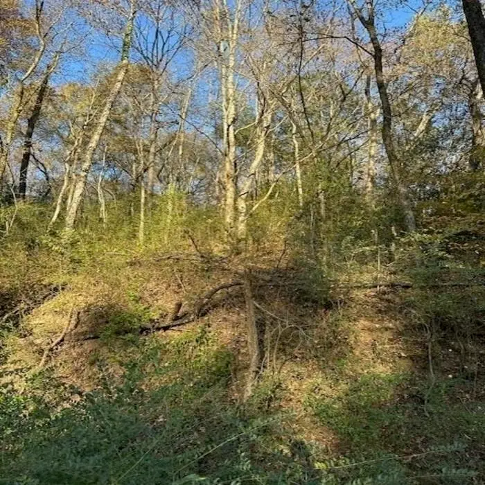 0 Broadway St, Florence, AL 35630 - Image #2