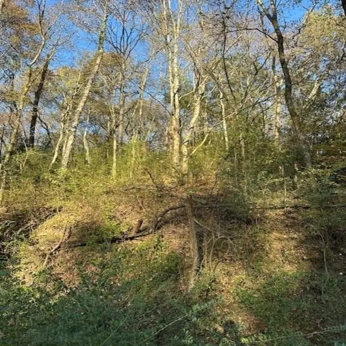 0 Broadway St, Florence, AL 35630 - Image #3