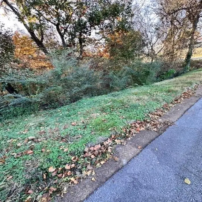 0 Smith St, Florence, AL 35630 - Image #3