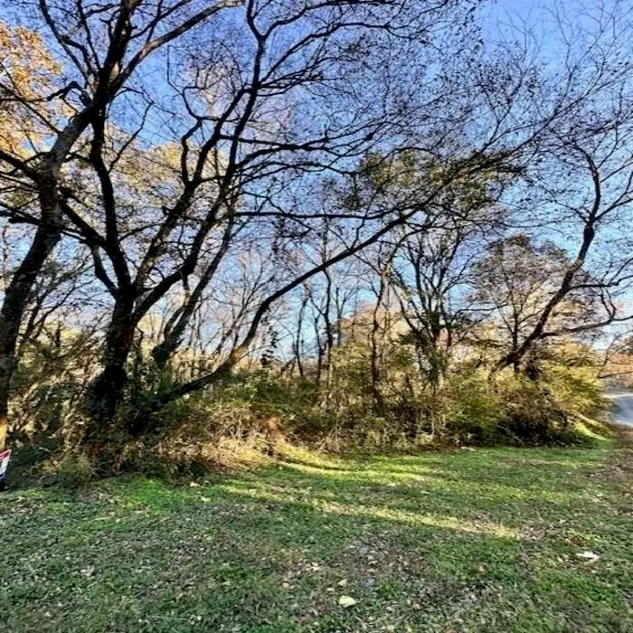 0 Jones St, Florence, AL 35630 - Image #3