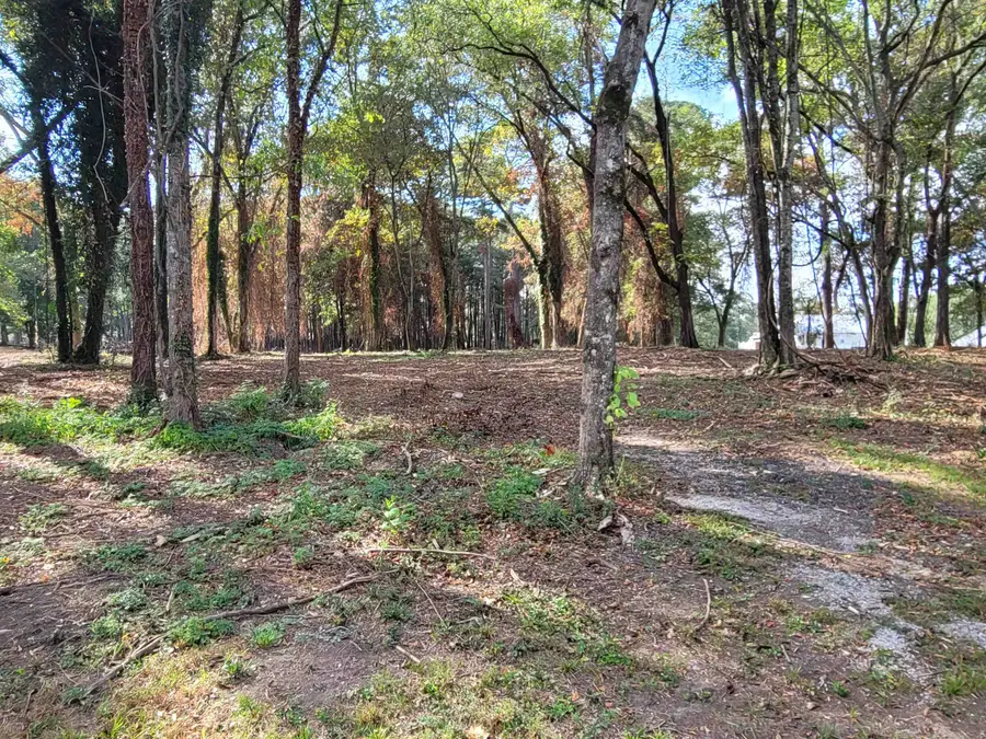 107 Convent Rd, Cullman, AL 35055 - Image #2