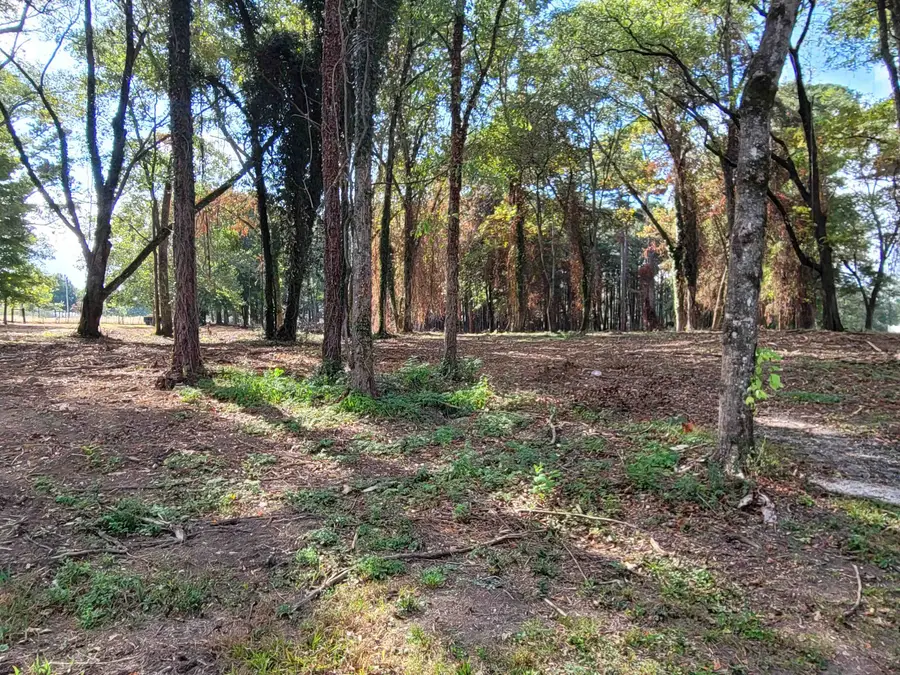 107 Convent Rd, Cullman, AL 35055 - Image #3