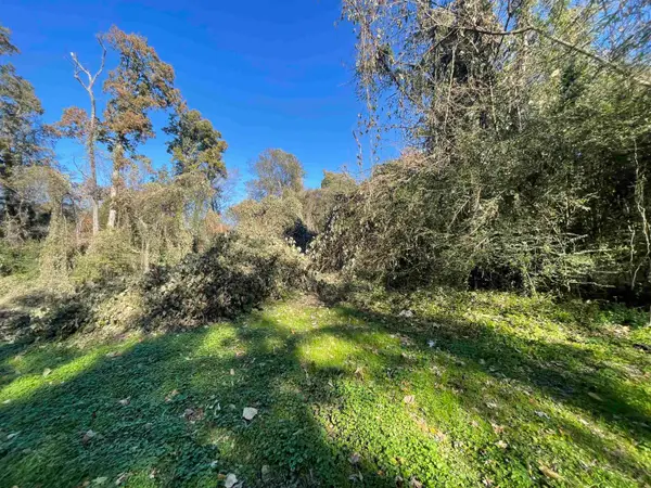 0 Wood Ave, Sheffield, AL 35660