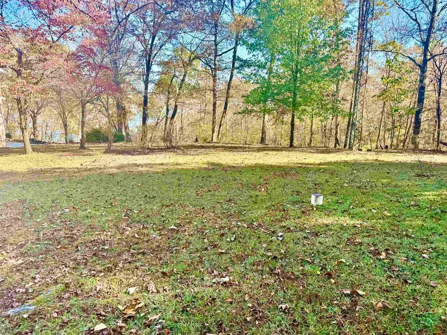 .71 Acres Co Rd 129, Bremen, AL 35033 - Image #3