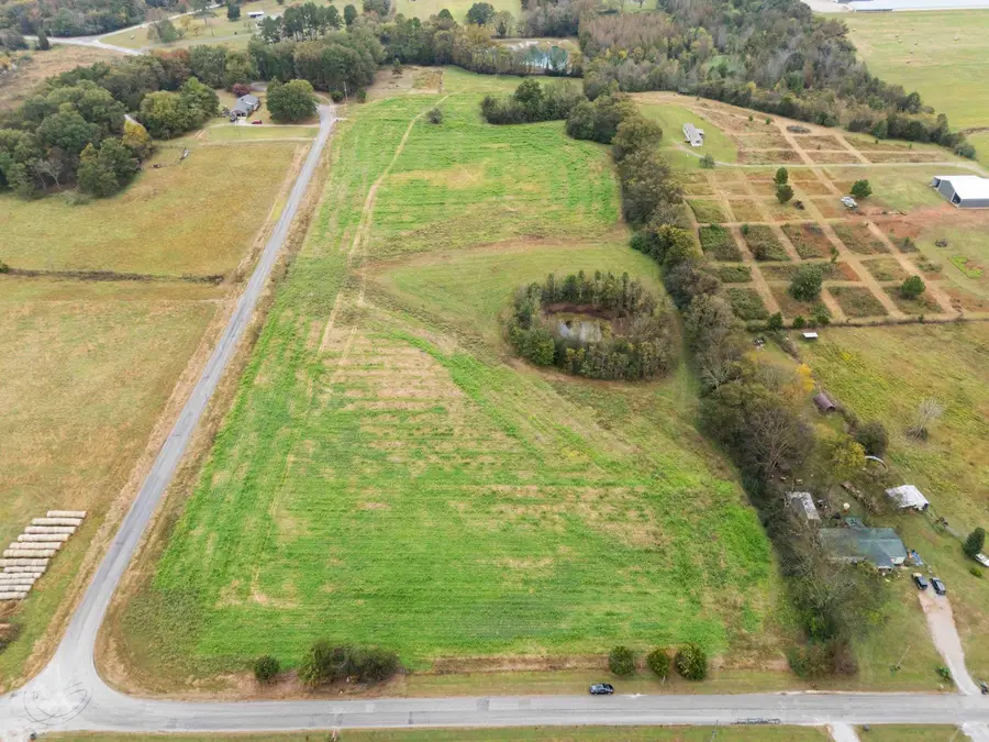 000 Co Rd 161, Moulton, AL 35650 - Image #2