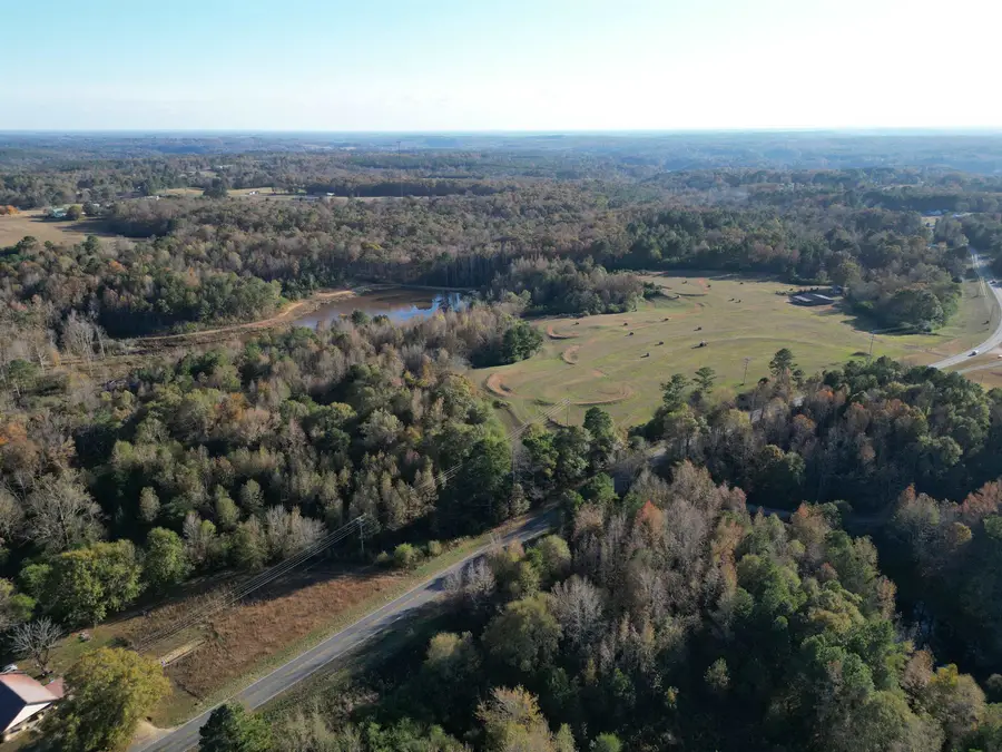 4401 Helicon Rd, Arley, AL 35541 - Image #3