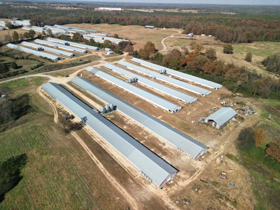 0 Cowbranch Rd, Hackleburg, AL 35564 - Image #3