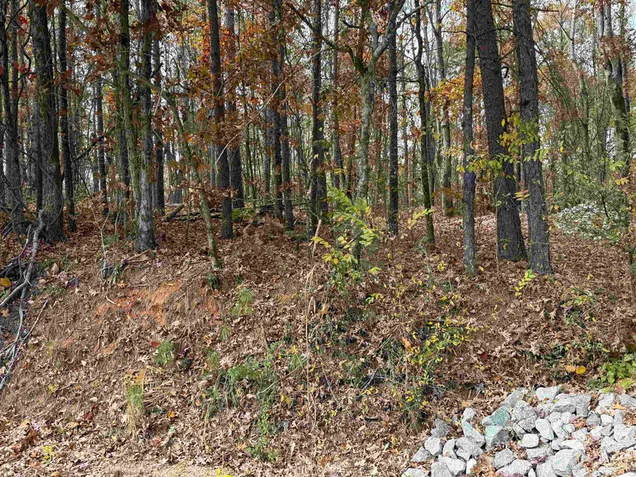 00 Underwood Mountain Rd, Tuscumbia, AL 35674 - Image #3