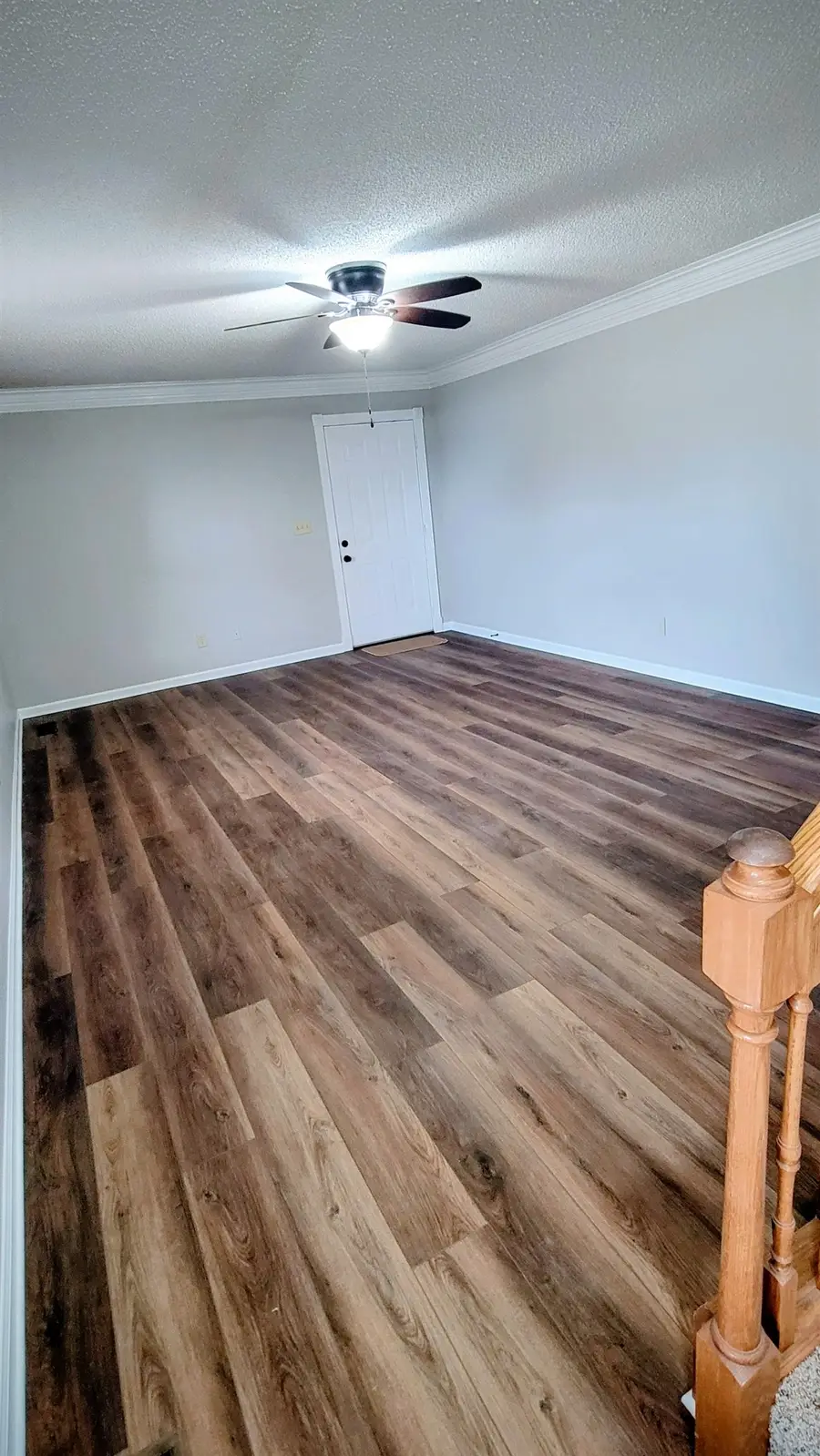 608 Eastman Ave, Tuscumbia, AL 35674 - Image #2