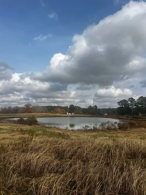 00 Co Rd 77, Arley, AL 35541