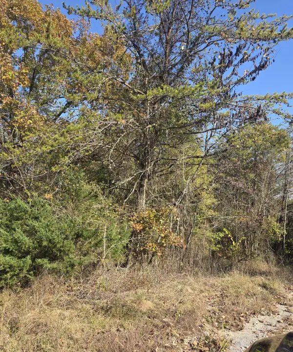 Lot 10 Blue Rd, Tuscumbia, AL 35674