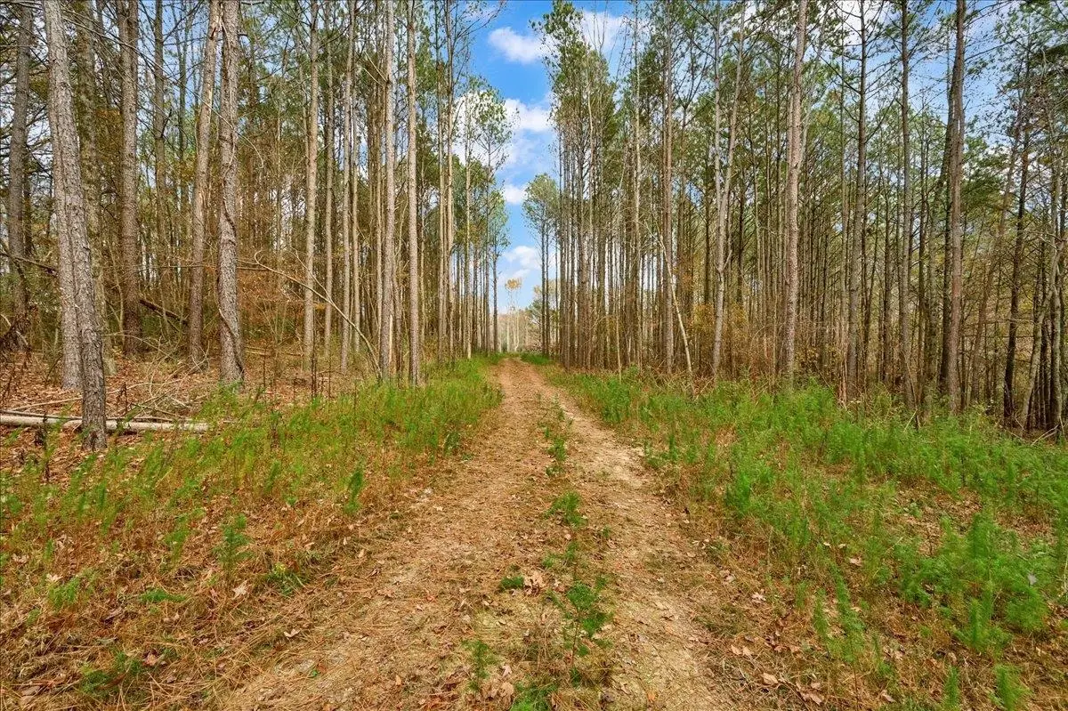 0 Co Rd 1506, Cullman, AL 35058 - Image #1