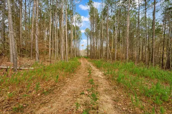 0 Co Rd 1506, Cullman, AL 35058