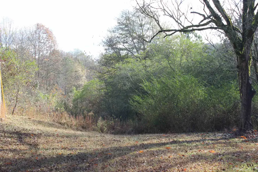 1628 Childhaven Rd, Cullman, AL 35055 - Image #3