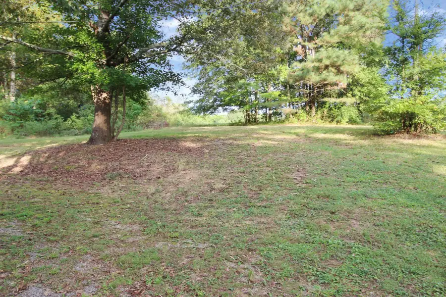 6260 Co Rd 1564, Baileyton, AL 35019 - Image #2
