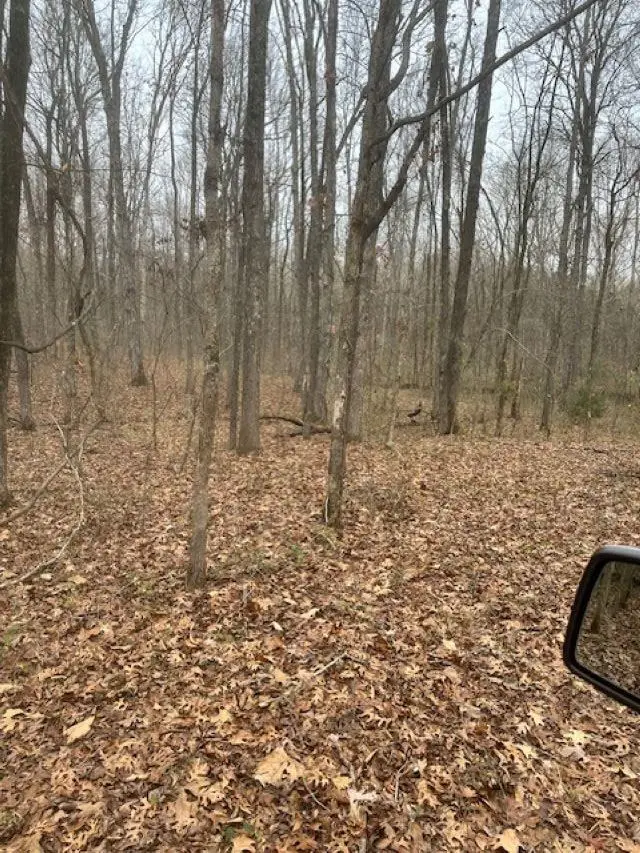 00 Osborn Hill Rd, Tuscumbia, AL 35674 - Image #2