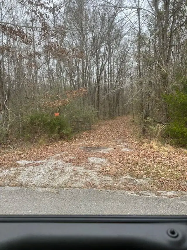 00 Osborn Hill Rd, Tuscumbia, AL 35674 - Image #3