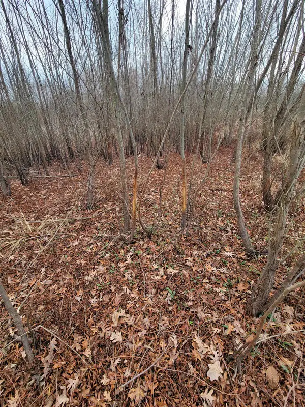 0 Hwy 24, Russellville, AL 35654