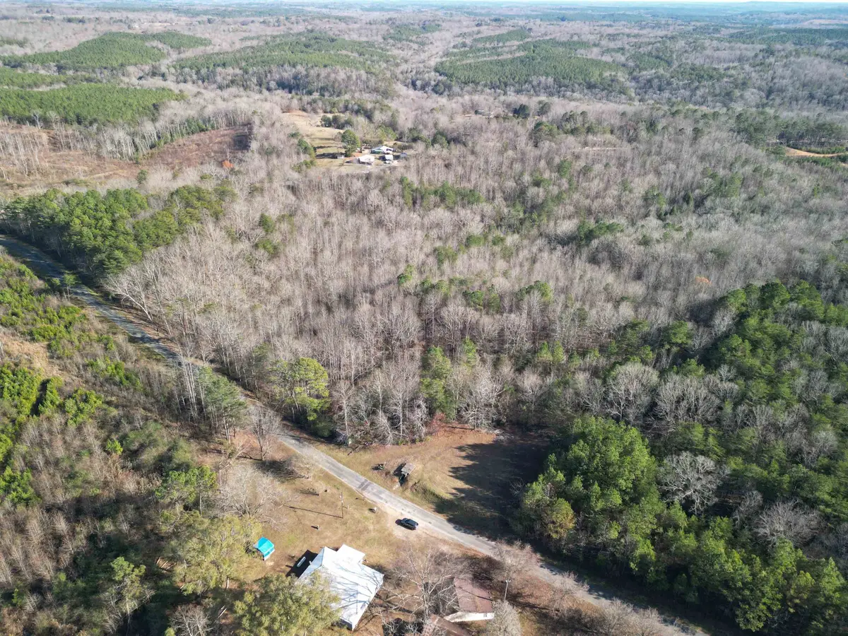 2484 Hoggle Ridge Rd, Haleyville, AL 35565 - Image #1