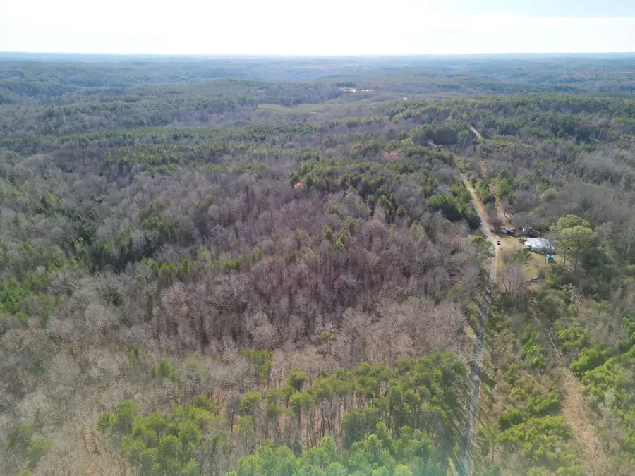 2484 Hoggle Ridge Rd, Haleyville, AL 35565 - Image #2