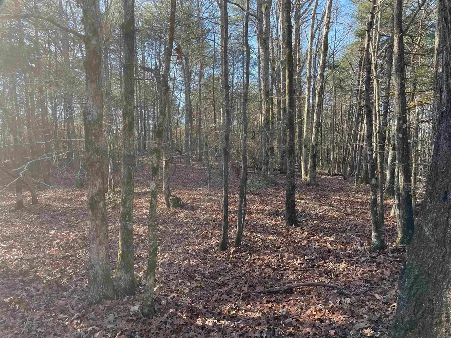 2484 Hoggle Ridge Rd, Haleyville, AL 35565 - Image #3